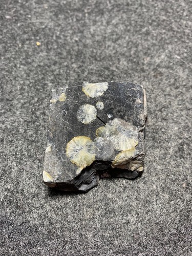 Wavellit highdown quarry - highdown,