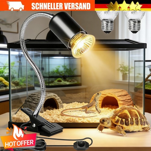 Schildkröten wärmelampe - schildkröten,