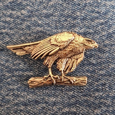 Habicht silberner Greifvogel