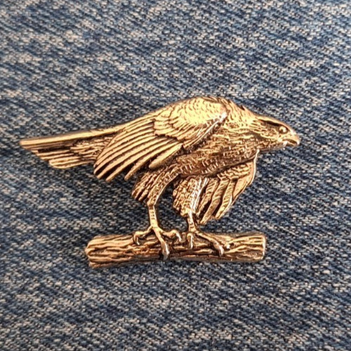 Habicht silberner greifvogel - silberner,