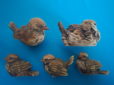 Spatzenfamilie D. Esposito