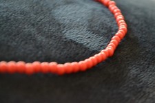 schöne Korallenkette