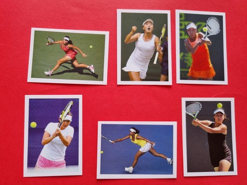 Shuai peng set of - shuai,