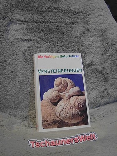 Versteinerungen fossilien d - fossilien,