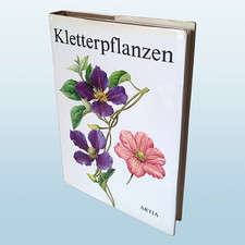 Kletterpflanzen & Rankpflanzen
