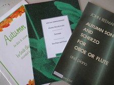 3 Notenhefte Flöte und