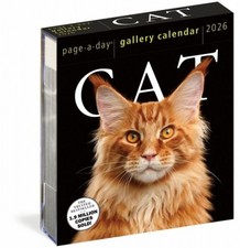 Cat Page-A-Day® Gallery Calendar 2026|Kalender