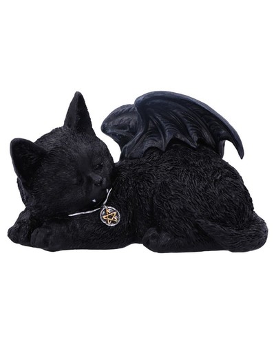 Schlafende schwarze katze - schwarze,