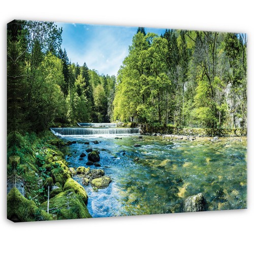 Leinwand wald wasser - wasser, grün