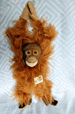 Kösen 5710 - Orang-Utan