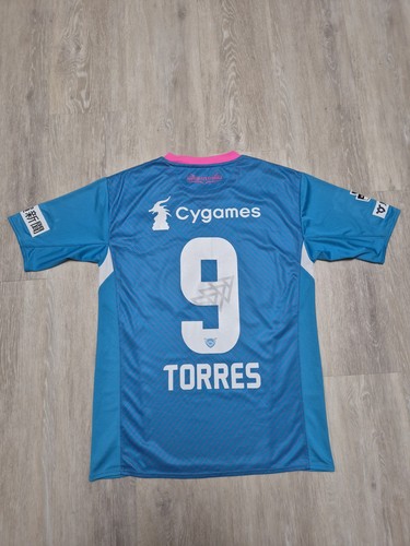 Fernando torres sagan - fernando, tosu