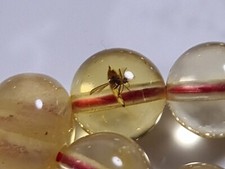 99 AMBER BERNSTEIN GEBETSKETTE