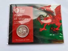 2016 pride wales - the, welsh