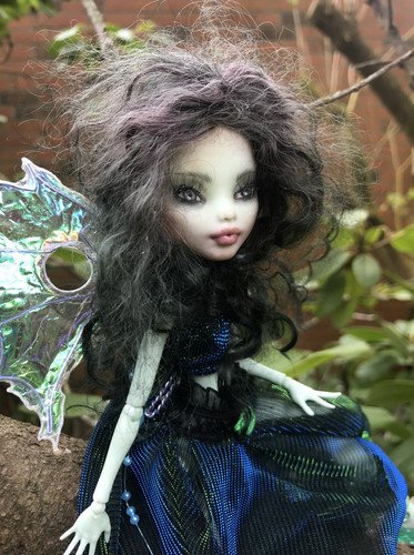 Monster high custom - high,