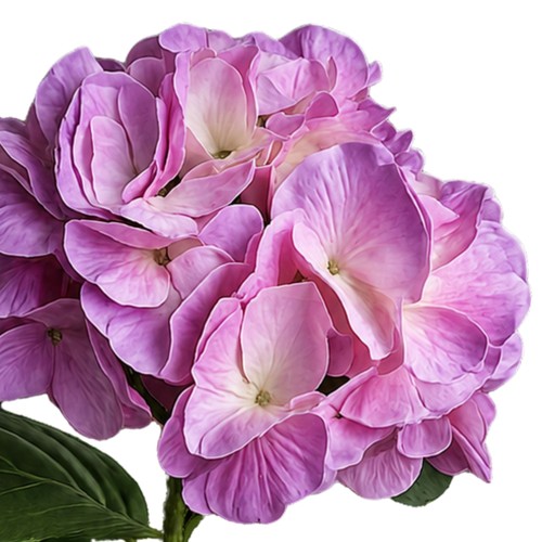 Künstliche hortensie 64cm - hortensie,