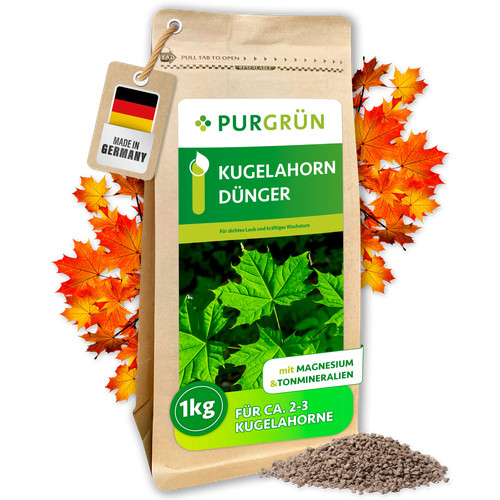 Purgrün kugelahorn dünger - purgrün,
