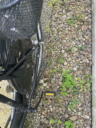 Bismarck damen citybike mit - bismarck,