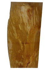 1x Buche gestockt gerissen