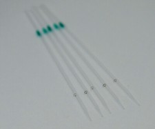 Bienenkönigin Instrumental