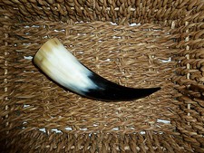 Wikinger Horn Trinkhorn