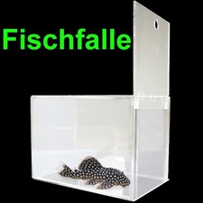 Aquarium Zubehör 🍀 FISCHFALLE 🍀 Fangbox Barsche Guppy Platy Salmler Welse Deko