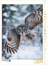 CALVENDO Puzzle Eule im Flug |