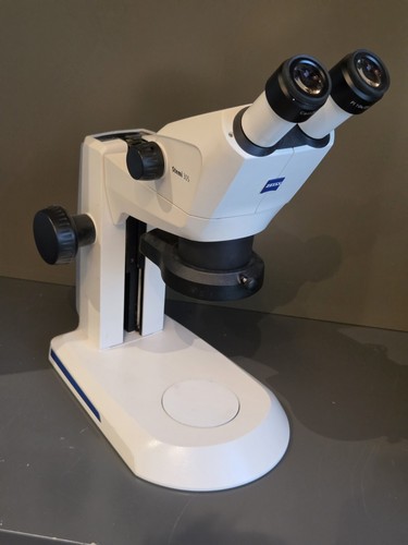 Zeiss stemi 305 - zeiss,