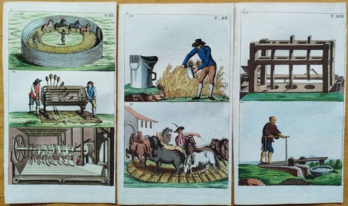 Getreide drucke wilhelm - getreide, 12