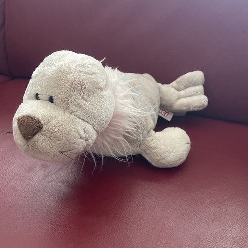 Nici robbe seehund - robbe,