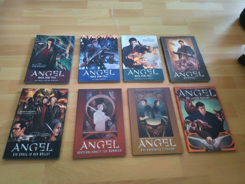 Angel nach dem fall - -,