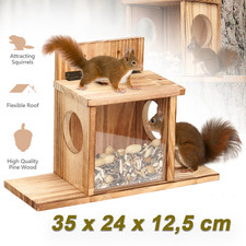 Eichhörnchen wetterfest