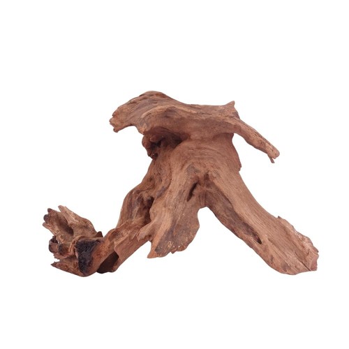 Driftwood flußwurzel - m,