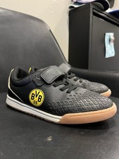BVB Borussia Dortmund