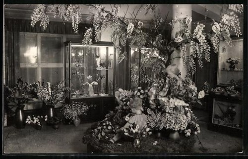 Sebnitz blumenschau und - /sa.,,