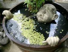 Steinfigur Garten - Wasserspeier “Tubman” Trollkopf mit Händen