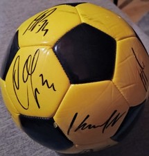 BVB Borussia Dortmund