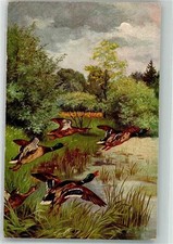 39905718 - Flugenten O.G.Z.L