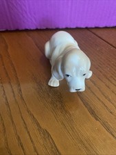 Trauriger Beagle Welpe Hund