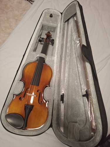 Violine mit passendem bogen - passendem,