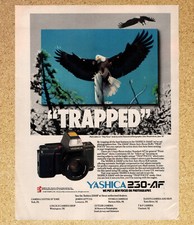 Yashica 230-AF SLR Trap Focus