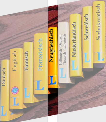 Langenscheidt wörterbuch - langenscheidt,