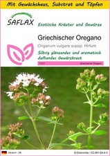SAFLAX - Anzuchtset - Griechischer Oregano - 600 Samen