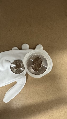 Maple leaf 1oz - leaf, tube