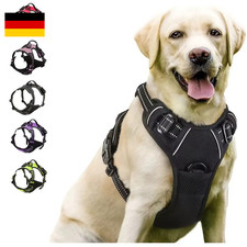 Hundegeschirr