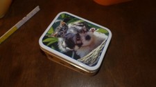 kleine Blechose mit Hund + Kazte  15 x 10,5 x 7 cm (609)