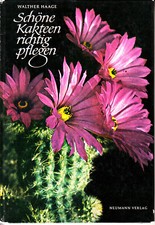 Schöne KAKTEEN richtig