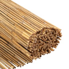 Schilfrohrmatte Sichtschutz 3m