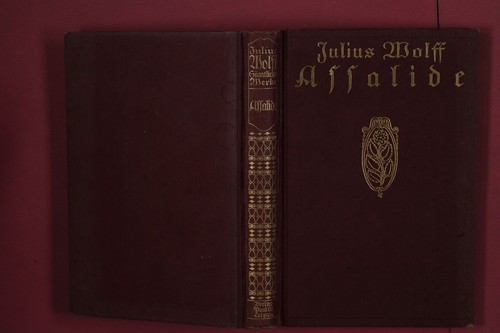 354384 julius wolff assalide - julius,