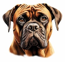 Designer aufkleber sticker - designer,