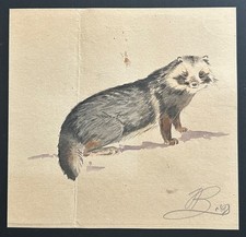 Marderhund von Johannes